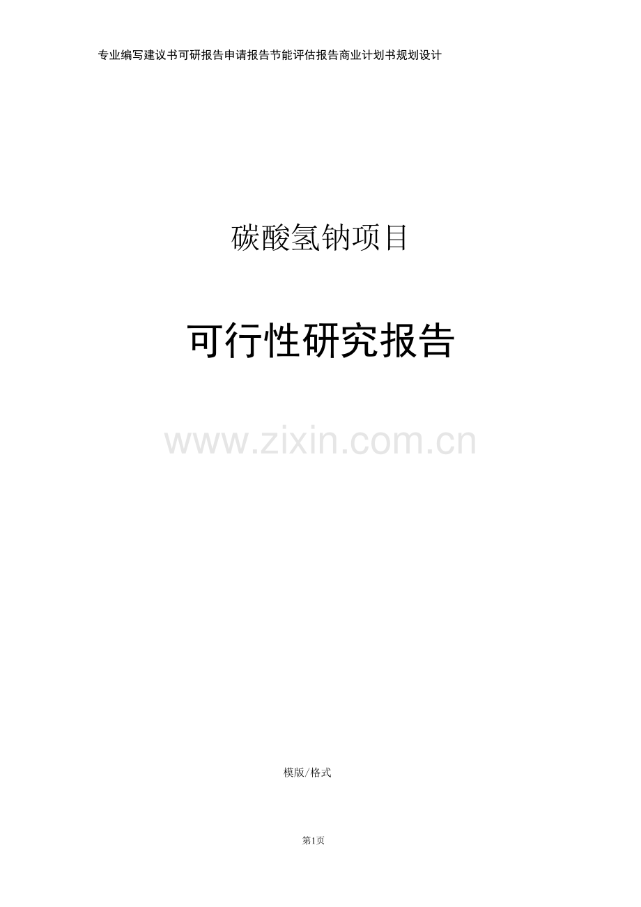 碳酸氢钠项目可行性研究报告申请报告.docx_第1页