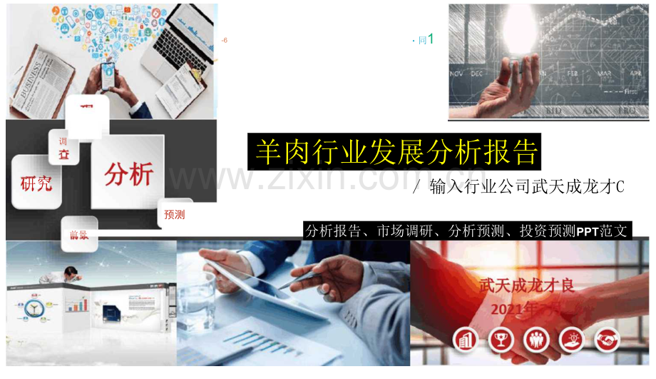 羊肉行业发展研究报告.docx_第1页