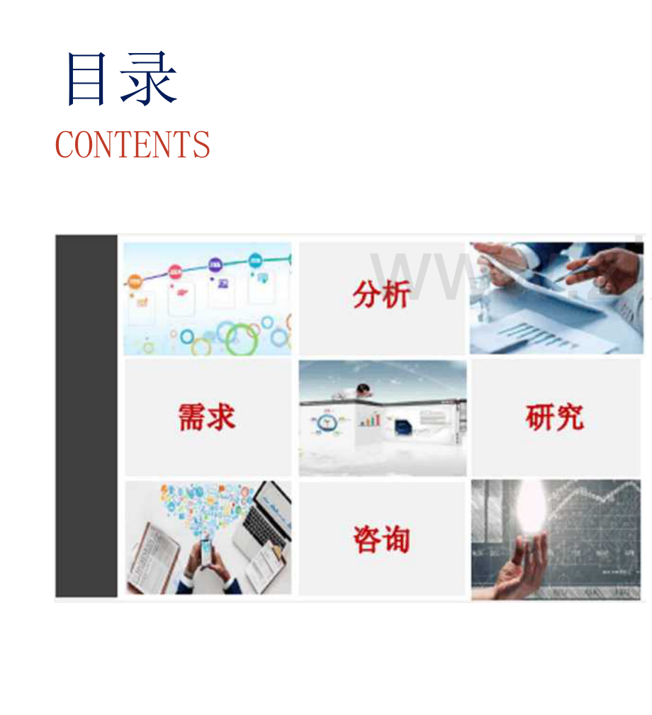 羊肉行业发展研究报告.docx_第2页