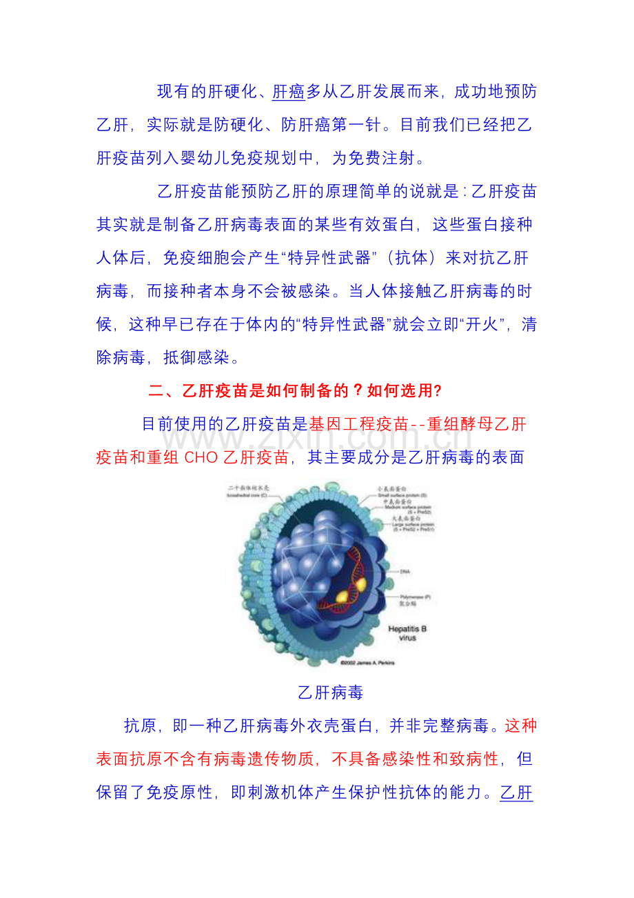 乙肝疫苗接种全攻略.doc_第2页