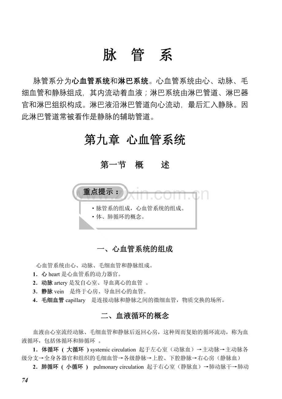 心血管系统重点总结及习题.doc_第1页