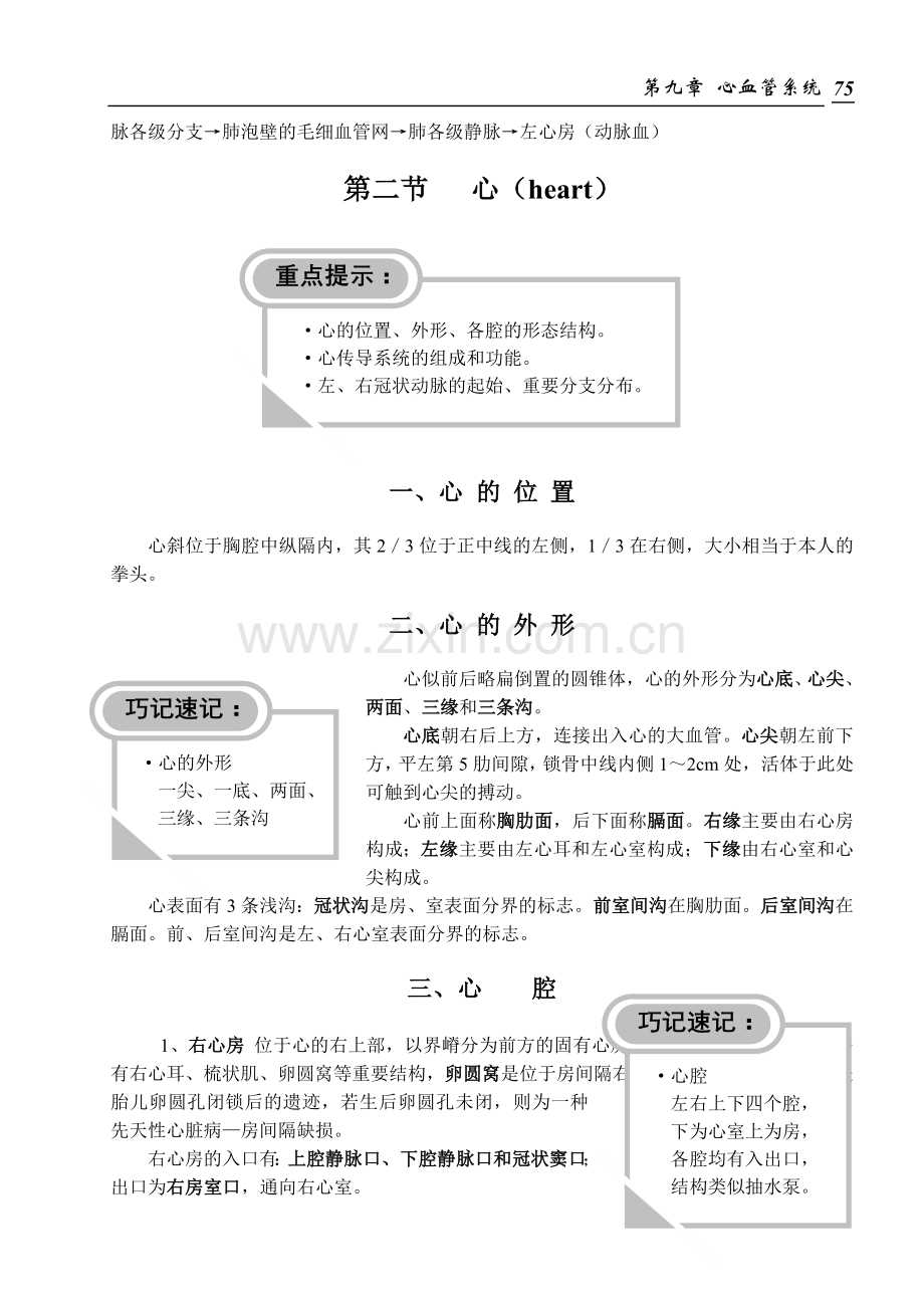 心血管系统重点总结及习题.doc_第2页