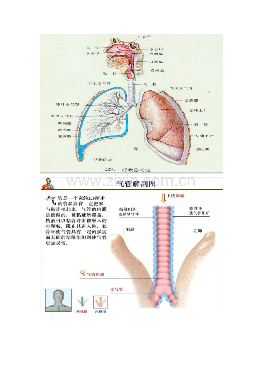 外伤和疾病的关系.docx_第1页