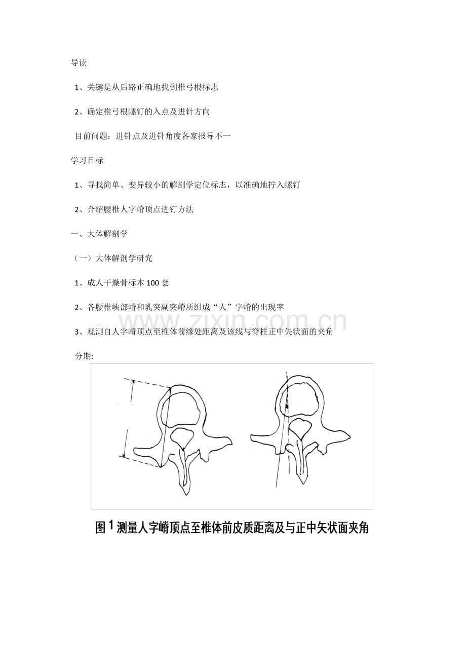 腰椎椎弓根螺钉人字嵴顶点进钉方法的解剖及临床应用.docx_第1页