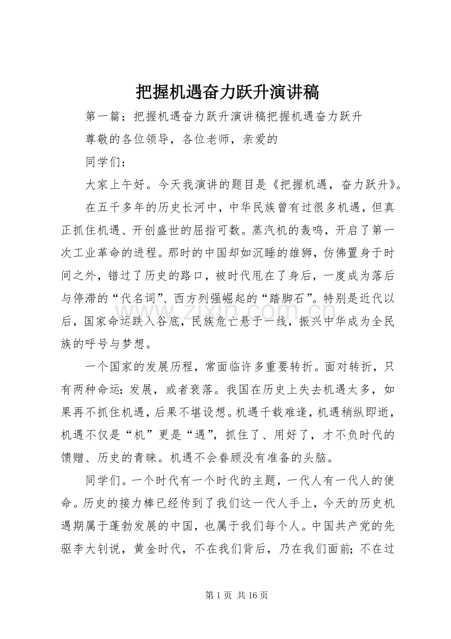 把握机遇奋力跃升演讲稿范文.docx_第1页
