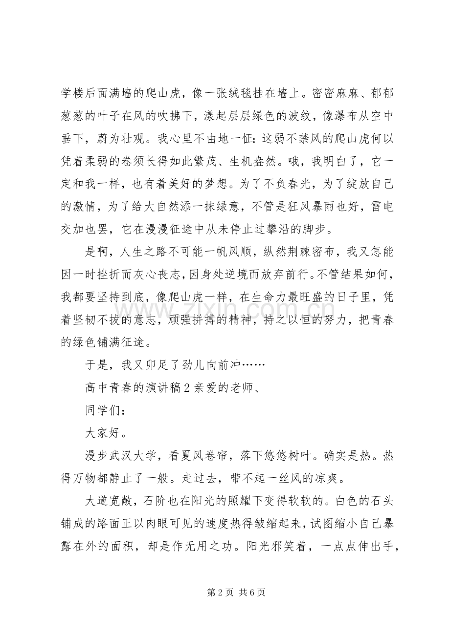 高中青春的演讲稿范文.docx_第2页