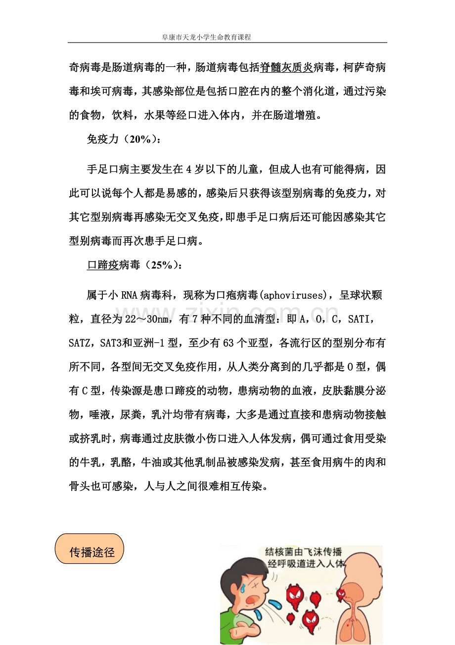 第七课 手足口病的形成及预防doc (1).doc_第2页