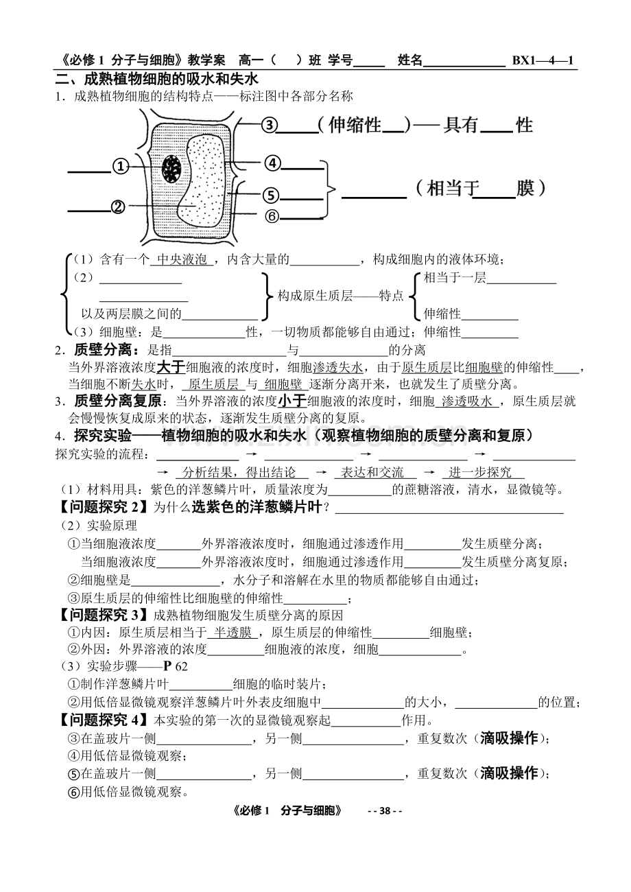 第1节物质跨膜运输的实例.doc_第2页