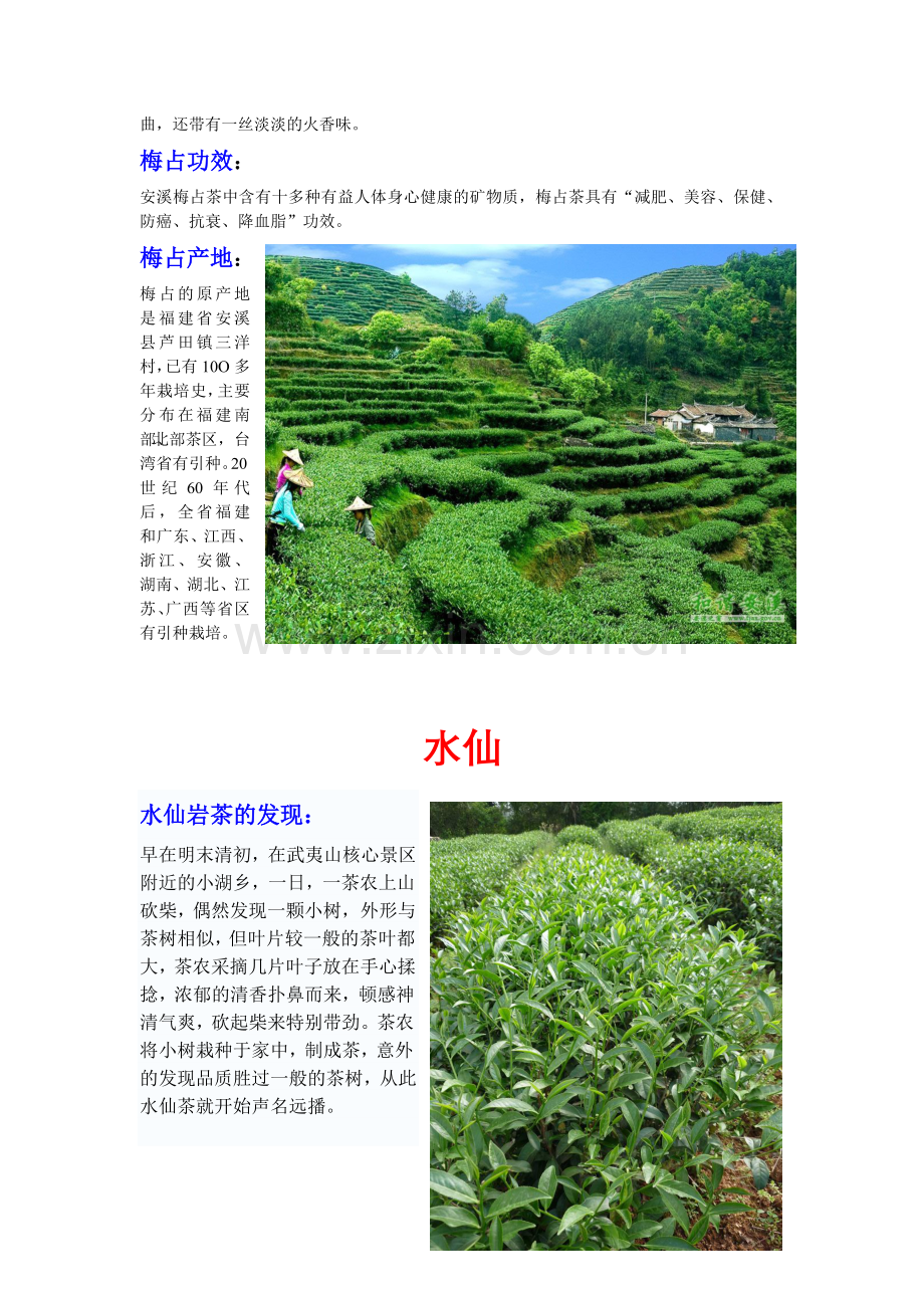 乌龙茶文化.doc_第2页