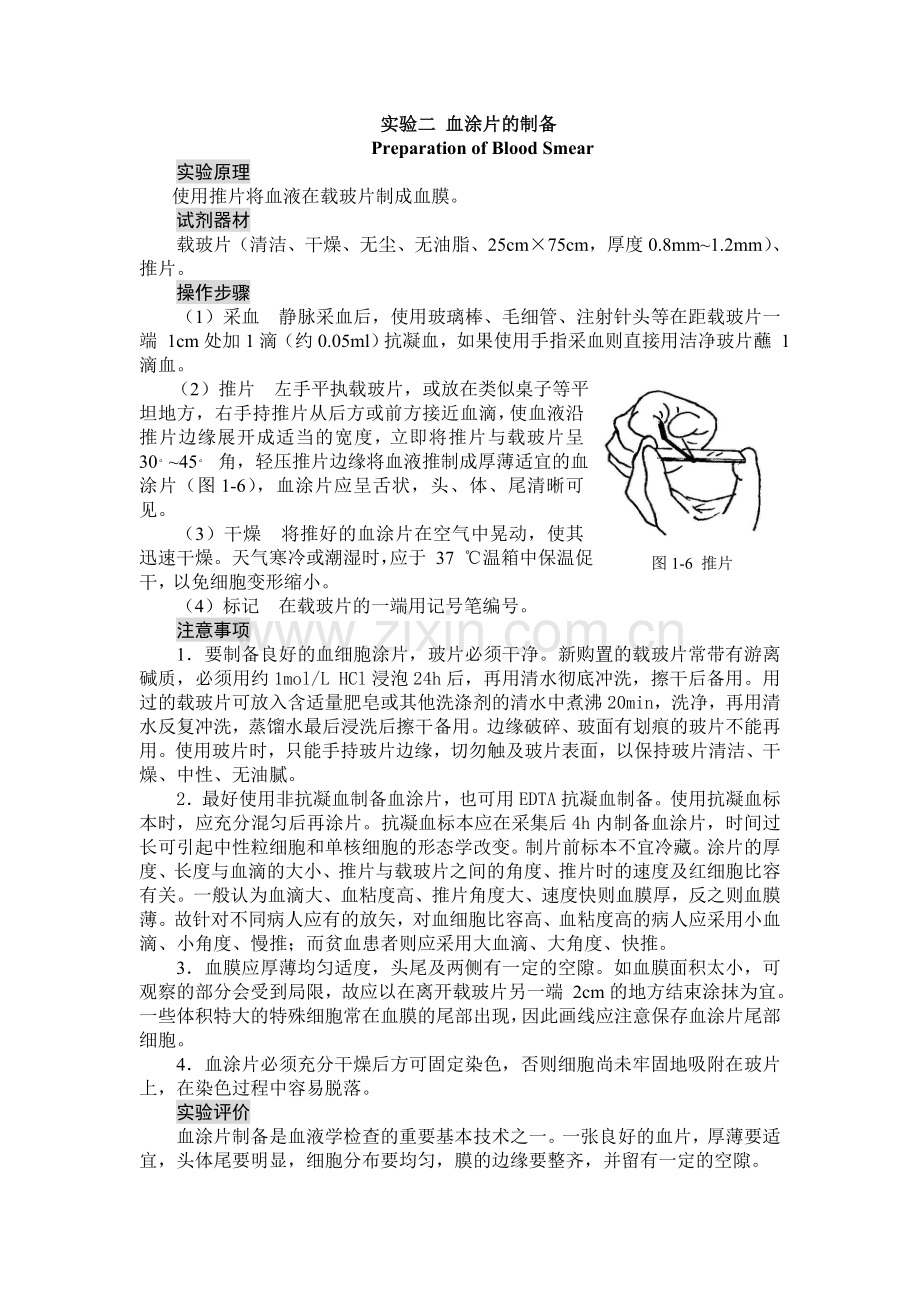 血涂片的制备.doc_第1页