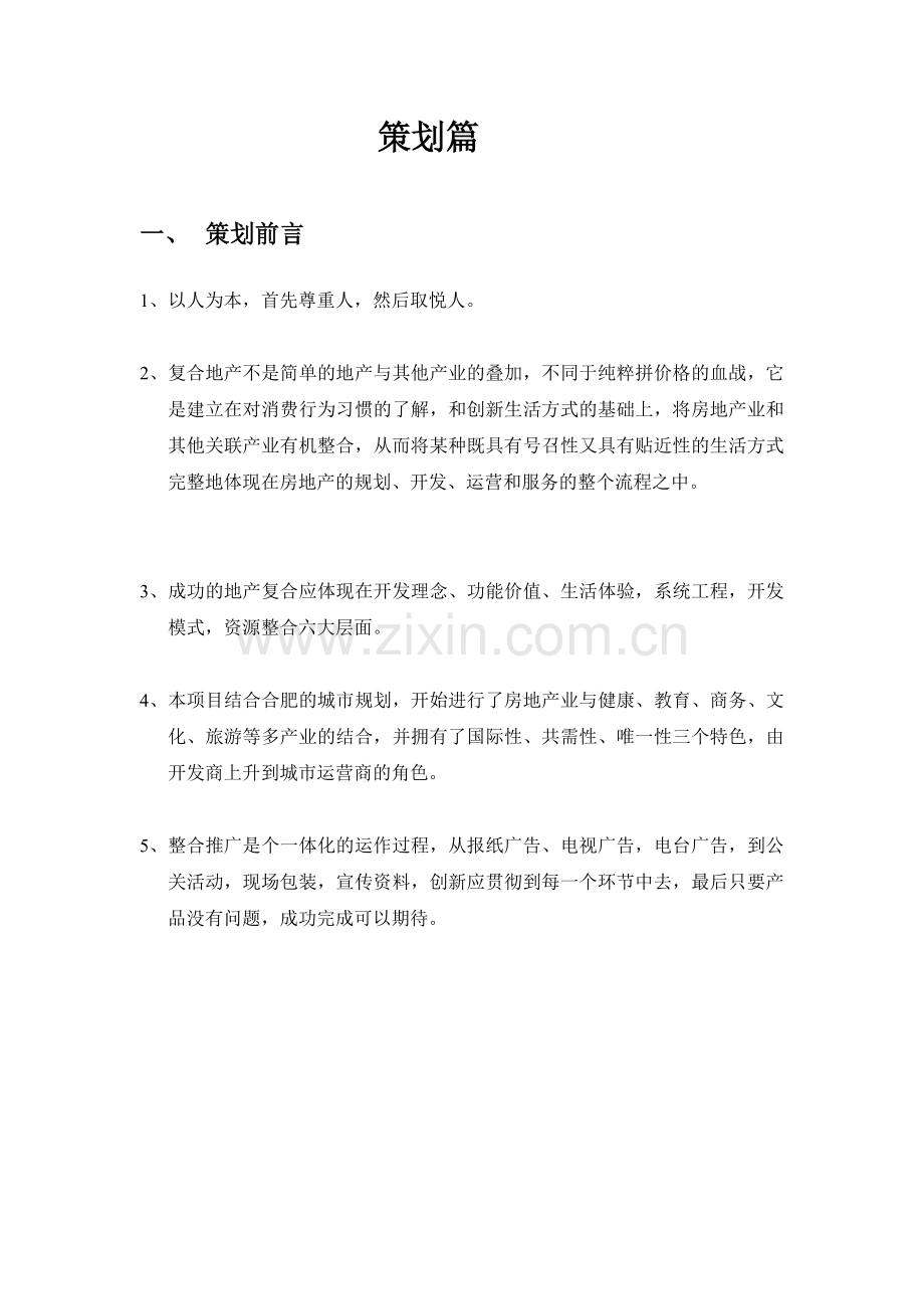 泊·天下营销策划报告.docx_第2页