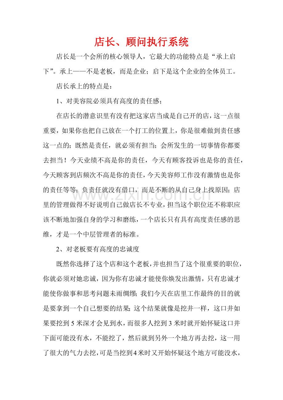 美容院店长顾问整体规划.docx_第1页