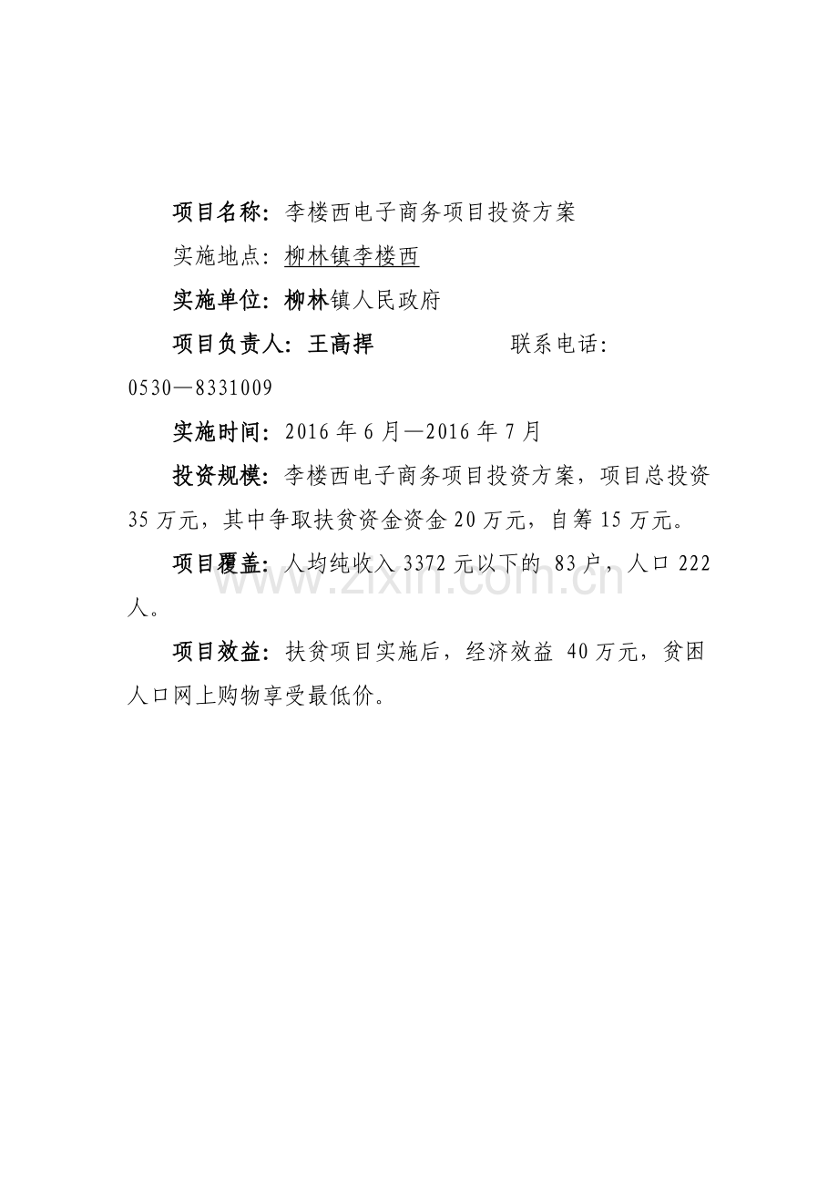 电子商务服务站项目投资方案.docx_第2页