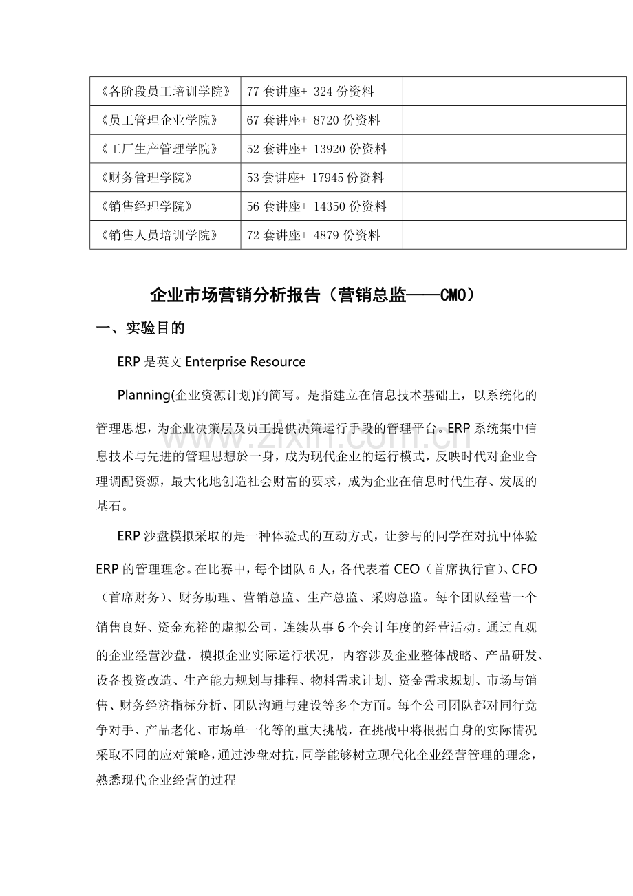 营销总监CMO角色分析与实验心得体会.docx_第2页