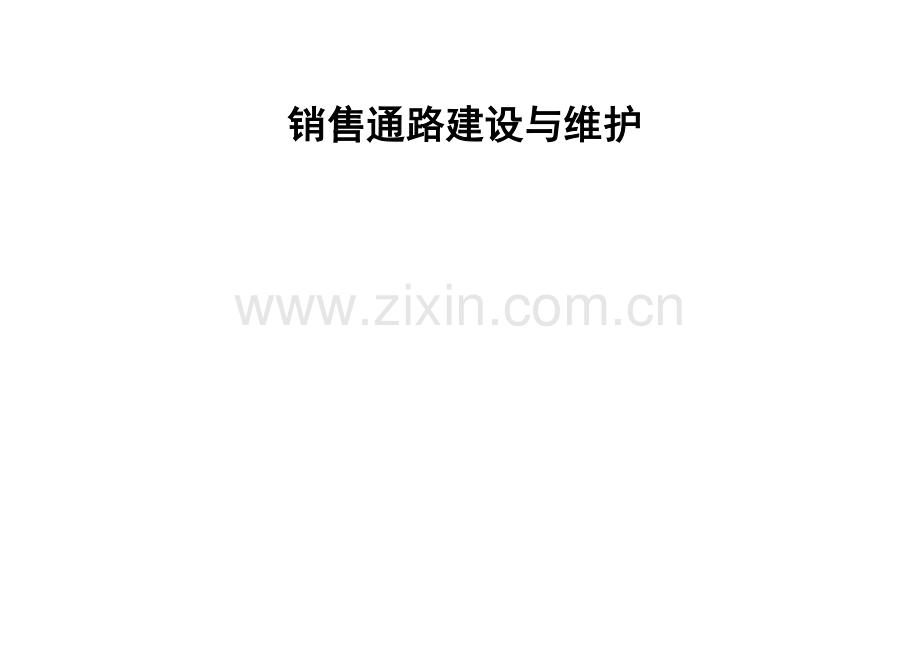 销售通路建设及其维护.docx_第2页