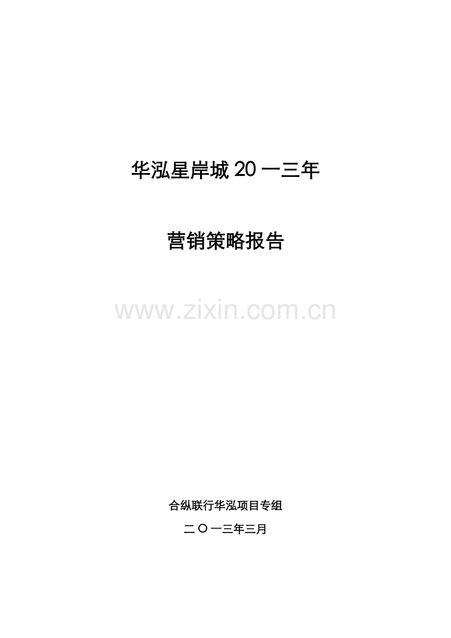 房地产顾问公司营销策略报告.docx_第1页