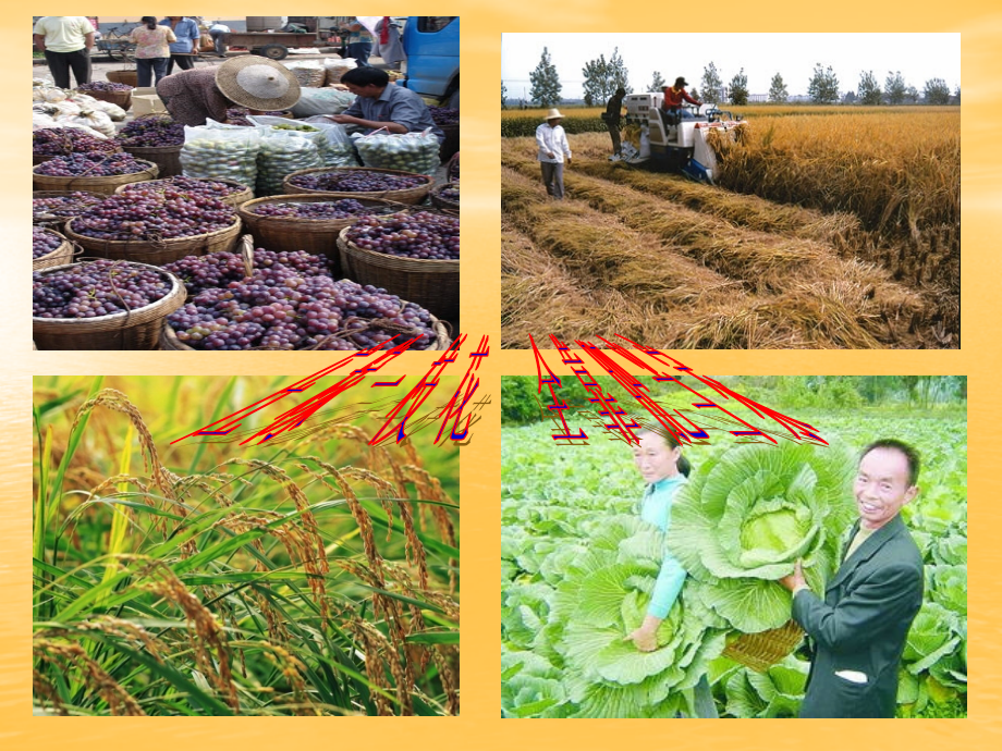 人教版九年级化学十一单元化学肥料.ppt_第2页