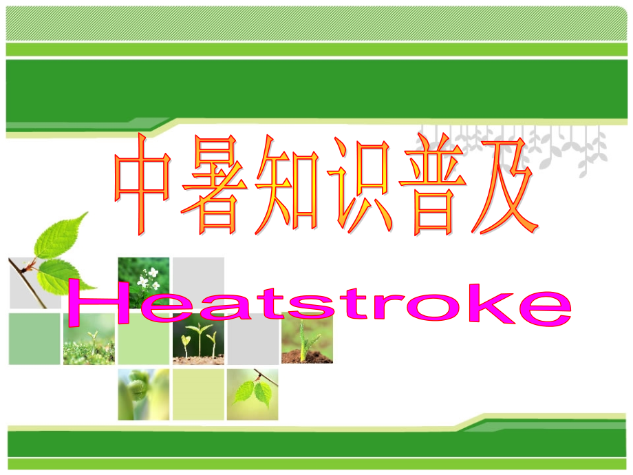 中暑知识普及.ppt_第1页