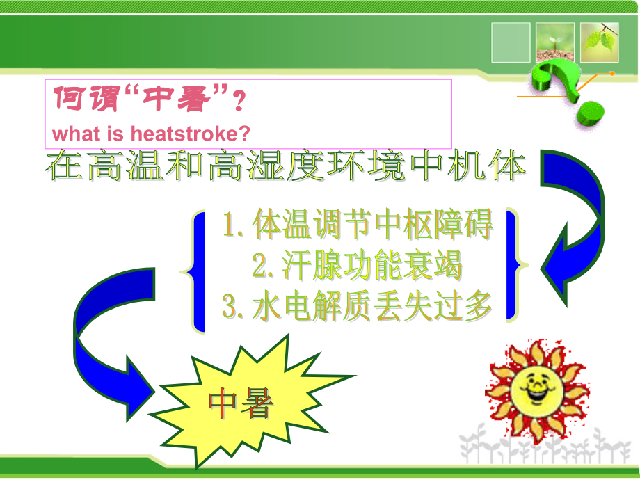 中暑知识普及.ppt_第2页