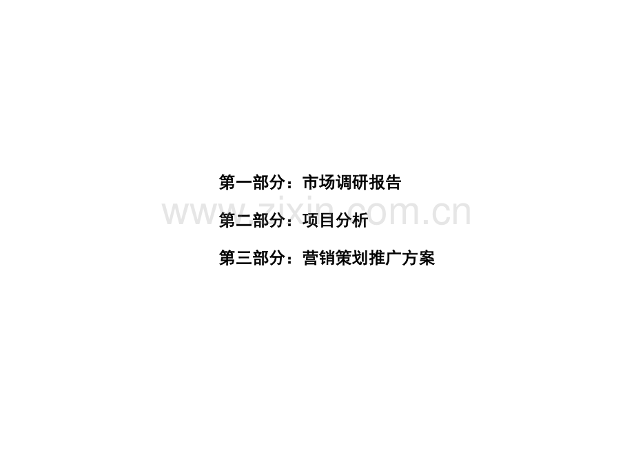 某国际商业城营销策划推广方案.docx_第2页