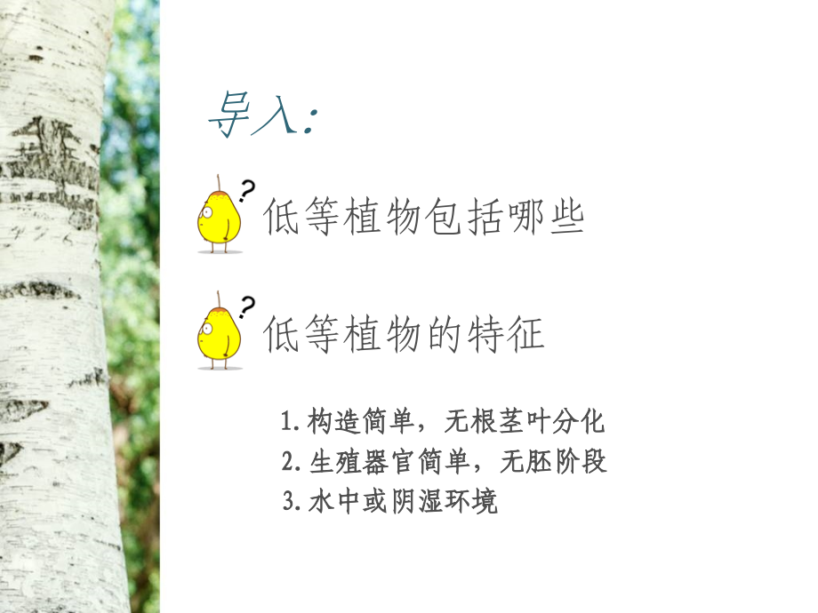 药用植物学-低等植物.ppt_第2页