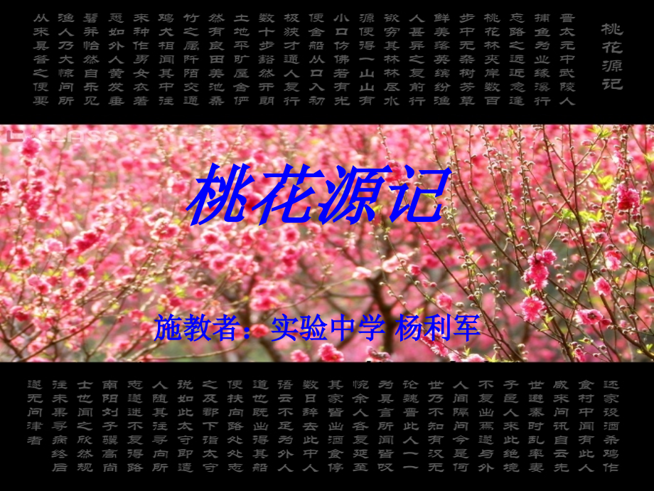 桃桃花源记课件.pptx_第1页