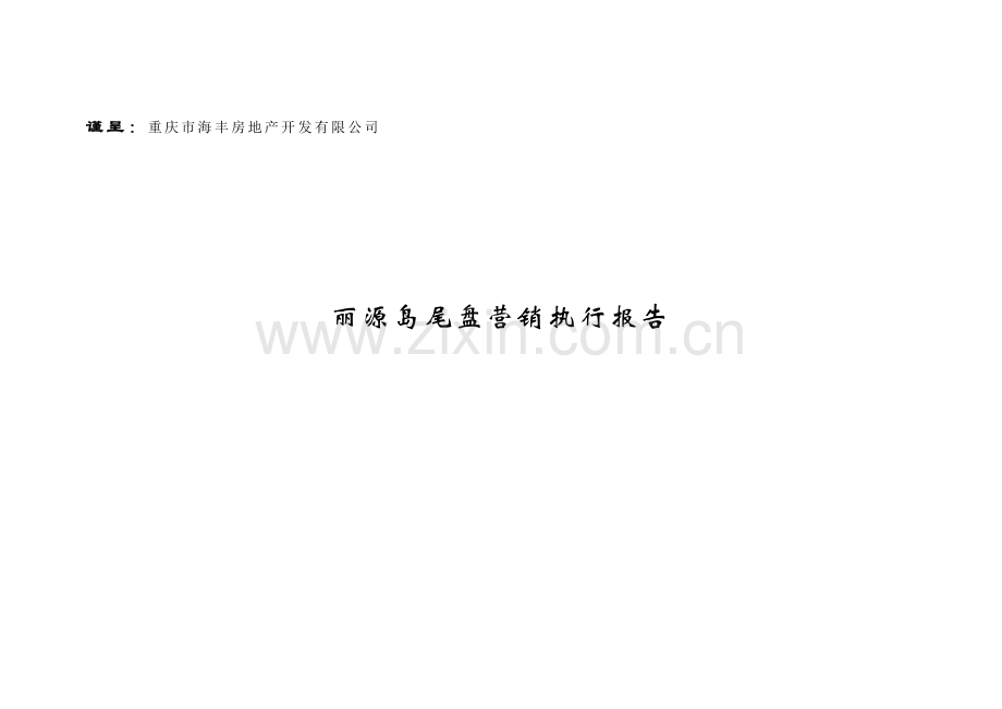 重庆丽源岛尾盘营销执行报告.docx_第1页