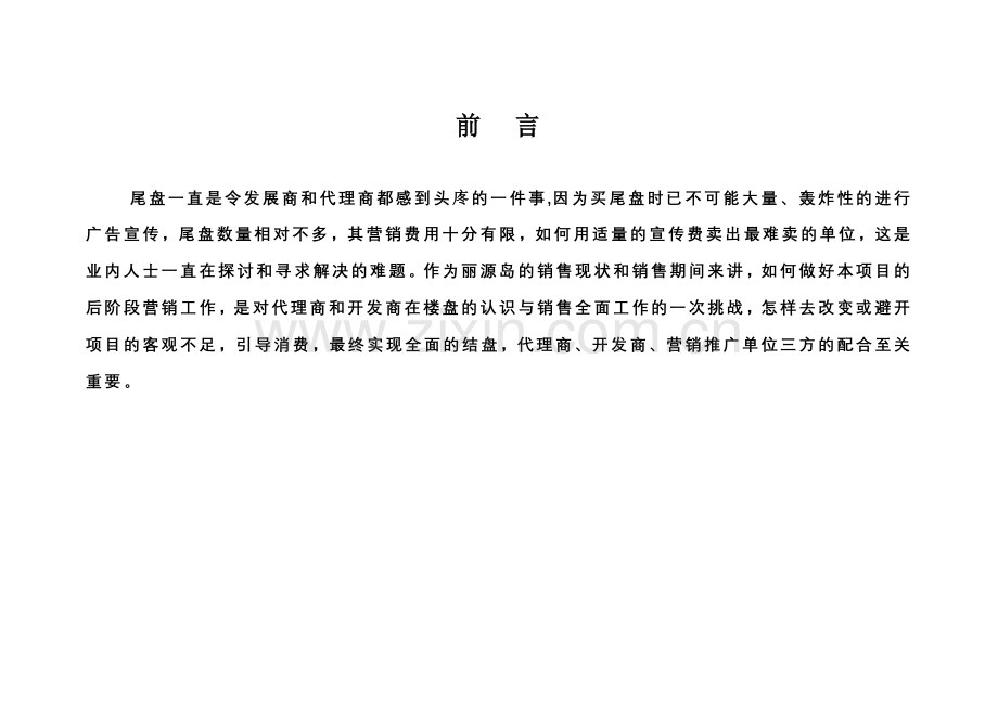 重庆丽源岛尾盘营销执行报告.docx_第2页