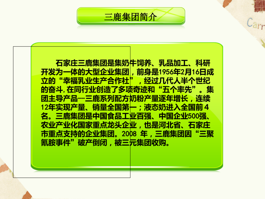 三鹿集团PPT.ppt_第2页