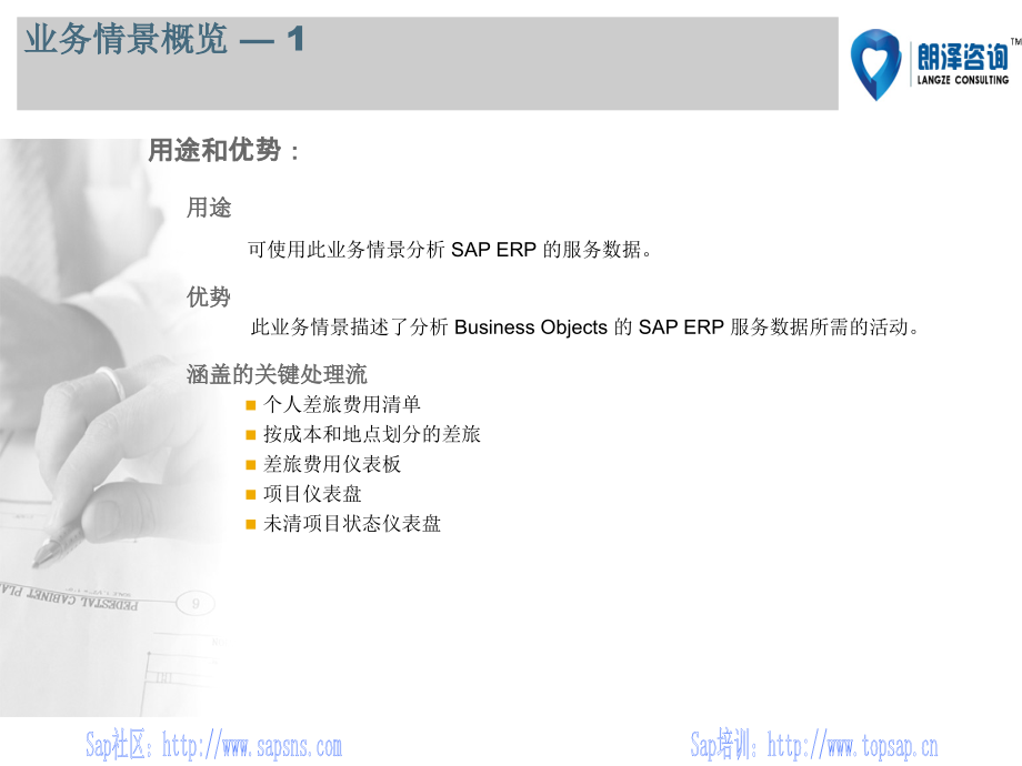 SAP服务分析_朗泽咨询.ppt_第1页