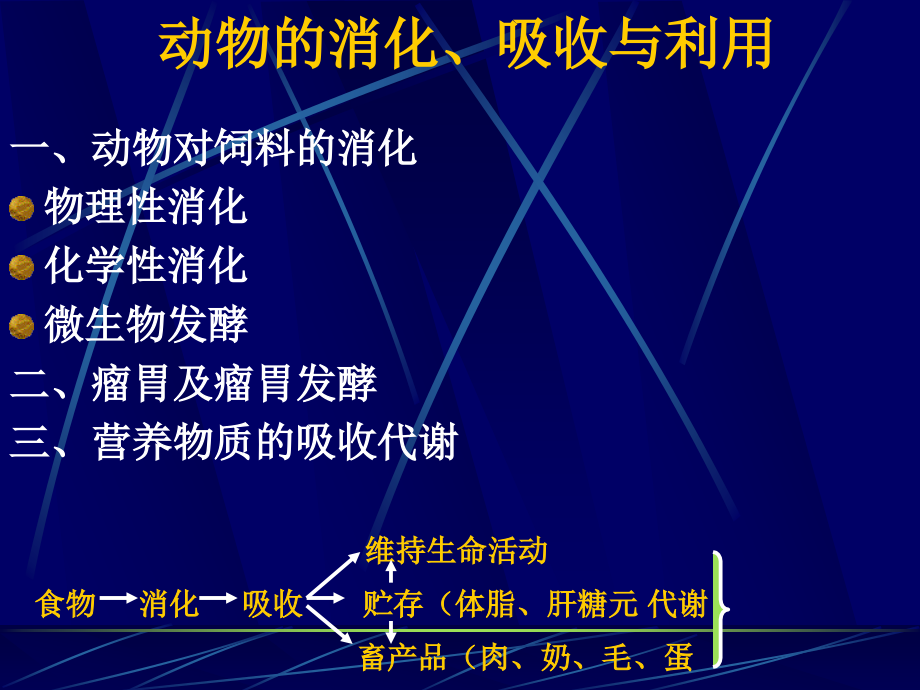 动物消化吸收.ppt_第1页
