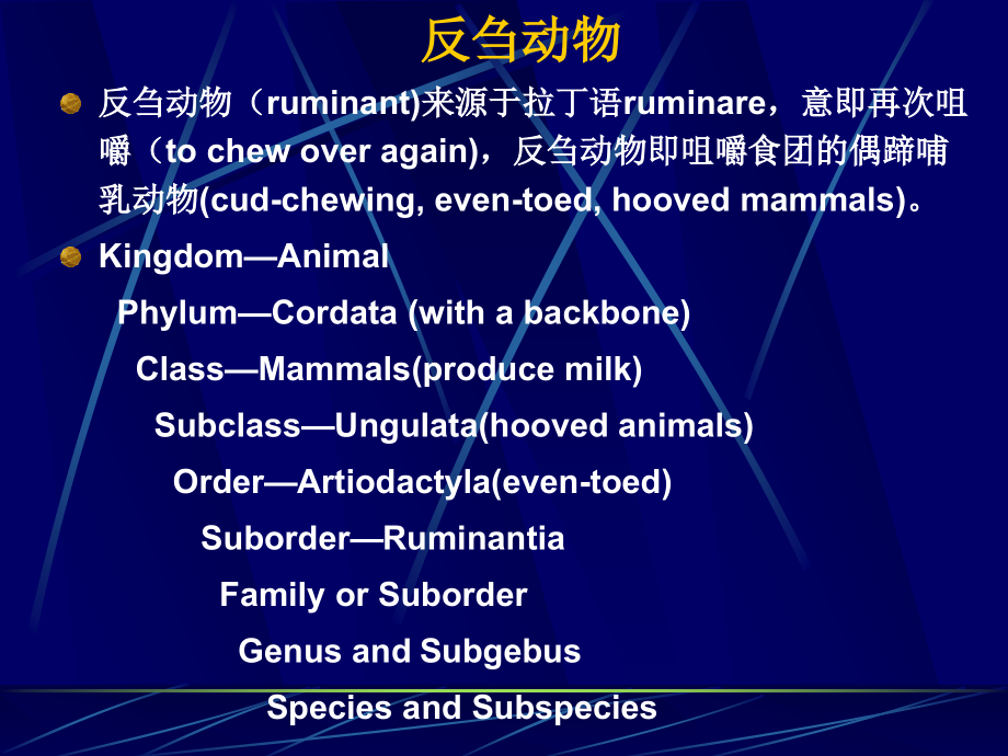 动物消化吸收.ppt_第2页