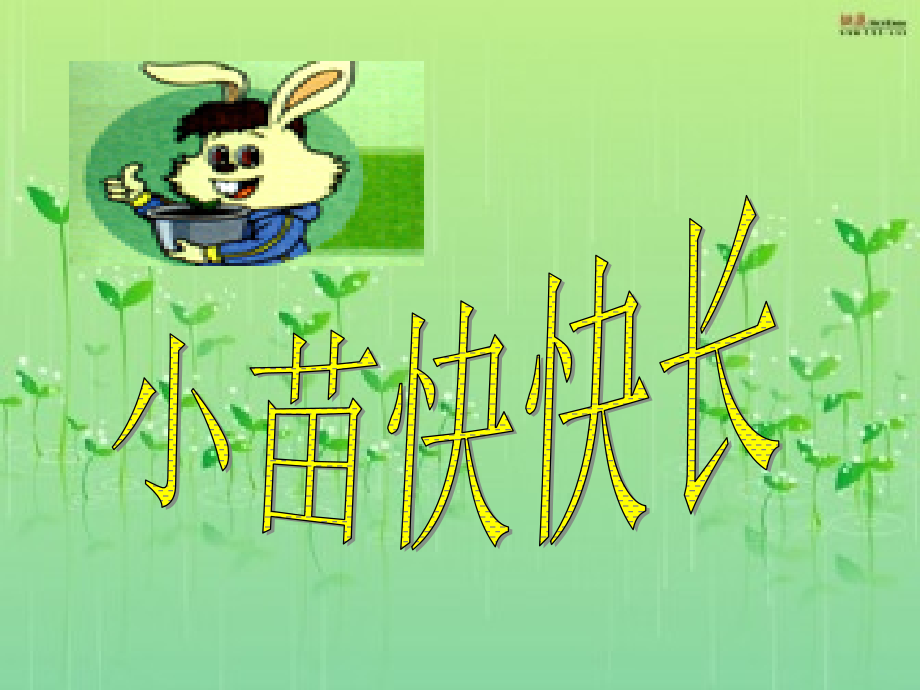 小苗快快长PPT课件.ppt_第1页