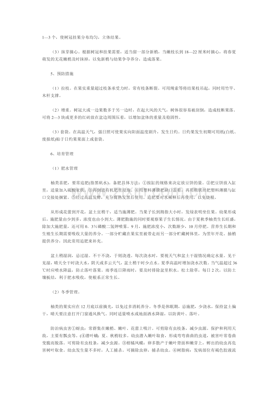 柚类巨果盆栽及养护技术措施.doc_第2页