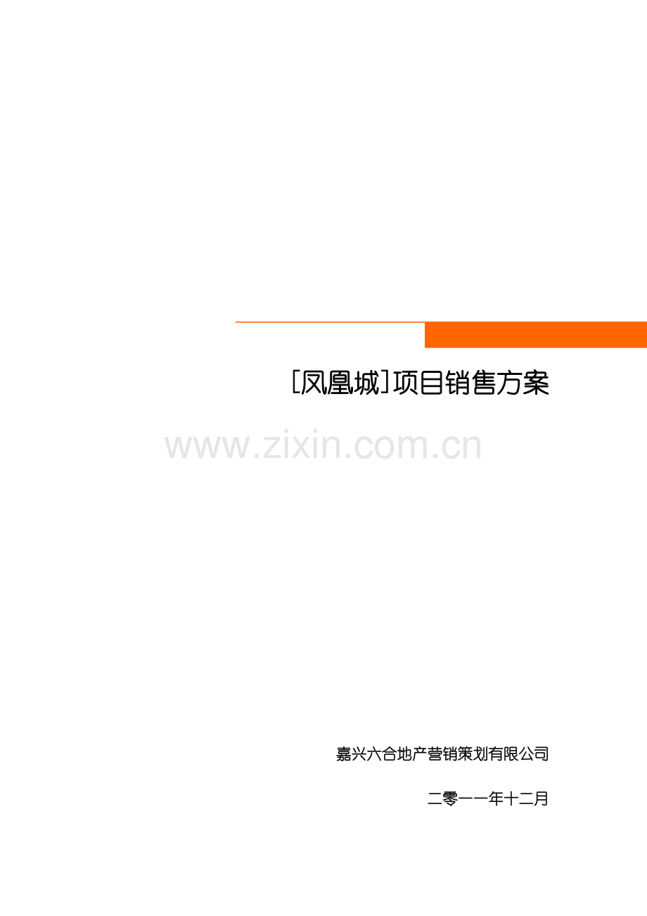 项目销售方案.docx_第1页