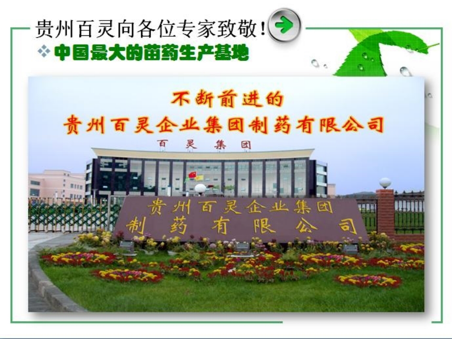 中医定向透药疗法.ppt_第1页