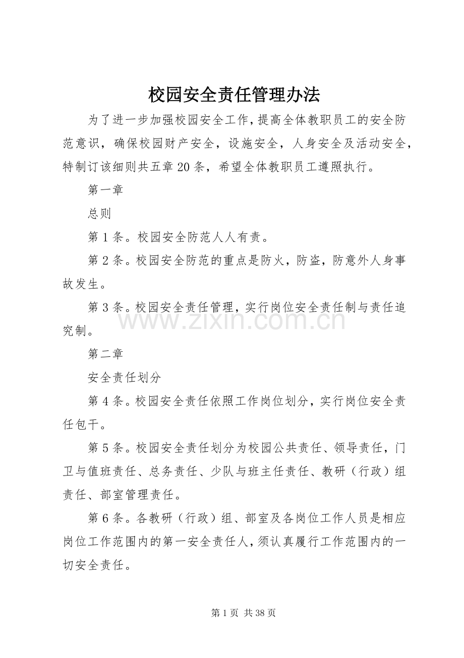 校园安全责任管理办法.docx_第1页