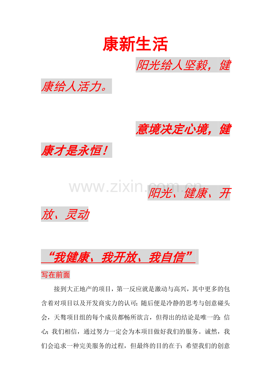 房地产项目营销执行策略.docx_第2页