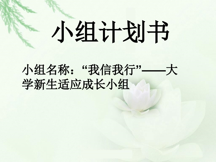 小组工作计划书案例.ppt_第1页