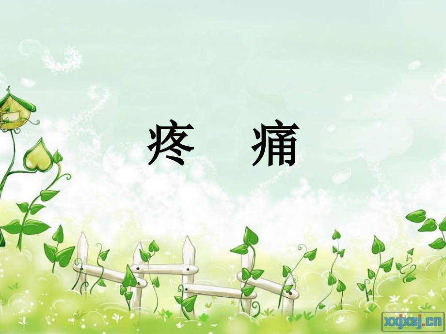 疼痛的护理 PPT.ppt_第1页