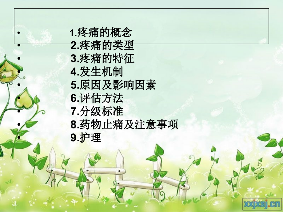 疼痛的护理 PPT.ppt_第2页