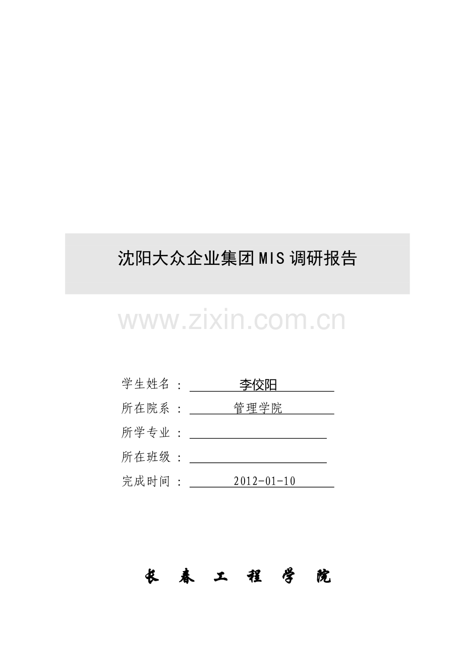 沈阳某集团MIS调研报告.docx_第1页