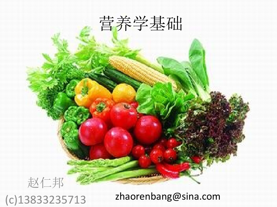 第一篇营养学基础1-4.ppt_第1页