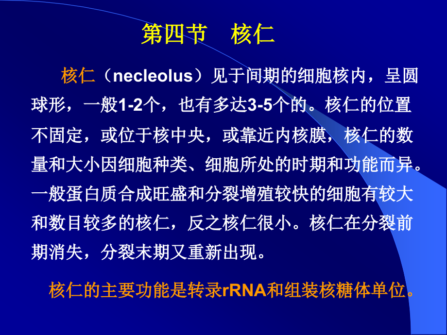 第八章：(4)细胞核和染色体.ppt_第1页