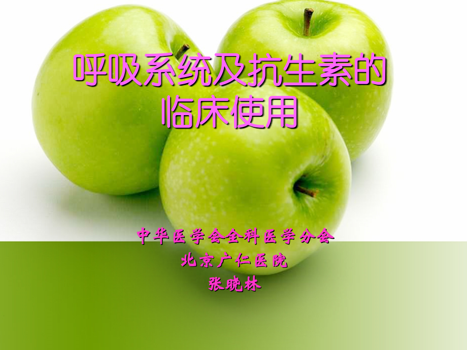 呼吸系统及抗生素的临床使用.ppt_第1页
