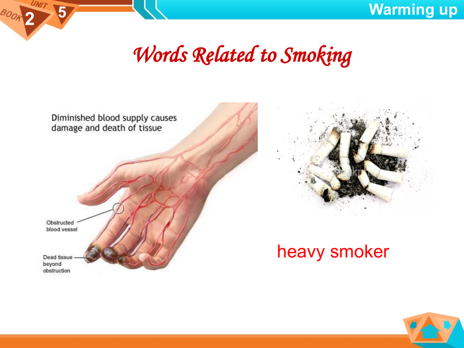 新视野大学英语第二册第五单元课件.ppt_第2页