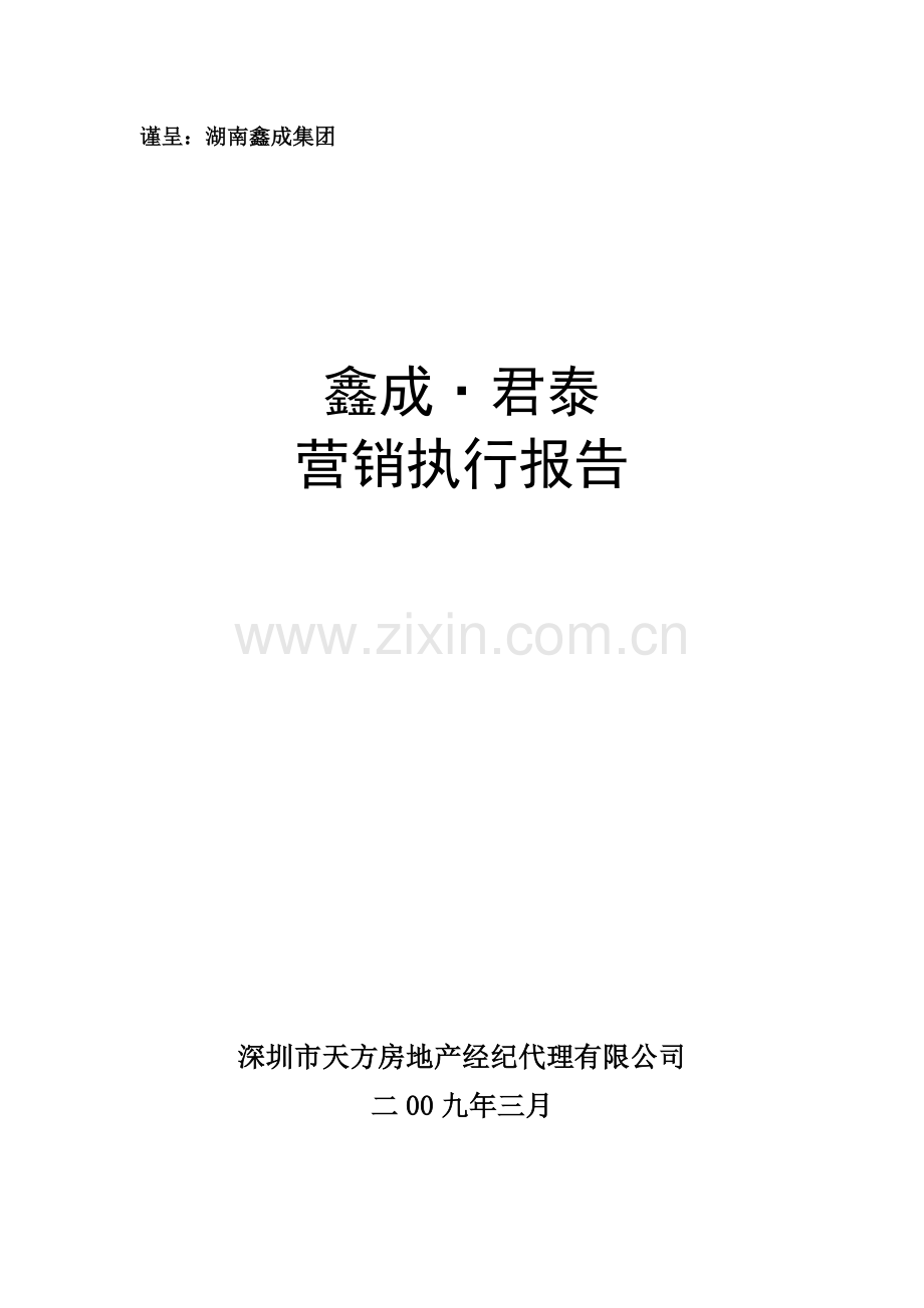 某集团营销执行报告.docx_第1页
