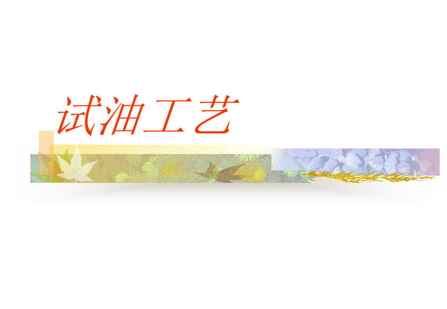 试油工艺(1).ppt_第2页