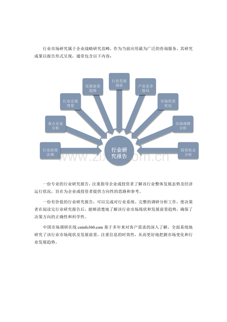研究分析与市场前景预测报告.docx_第2页