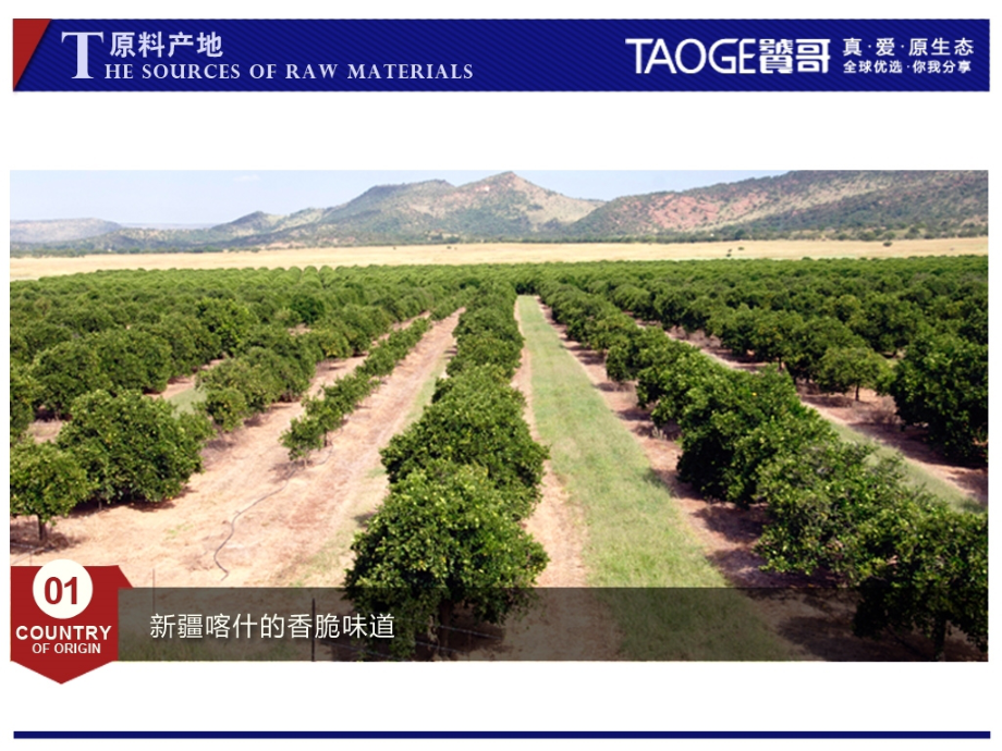 坚果秀—巴旦木.ppt_第2页